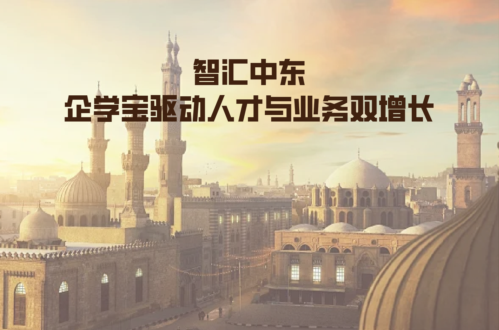 智汇中东：以企学宝数智化培训平台为引擎，驱动人才与业务双增长