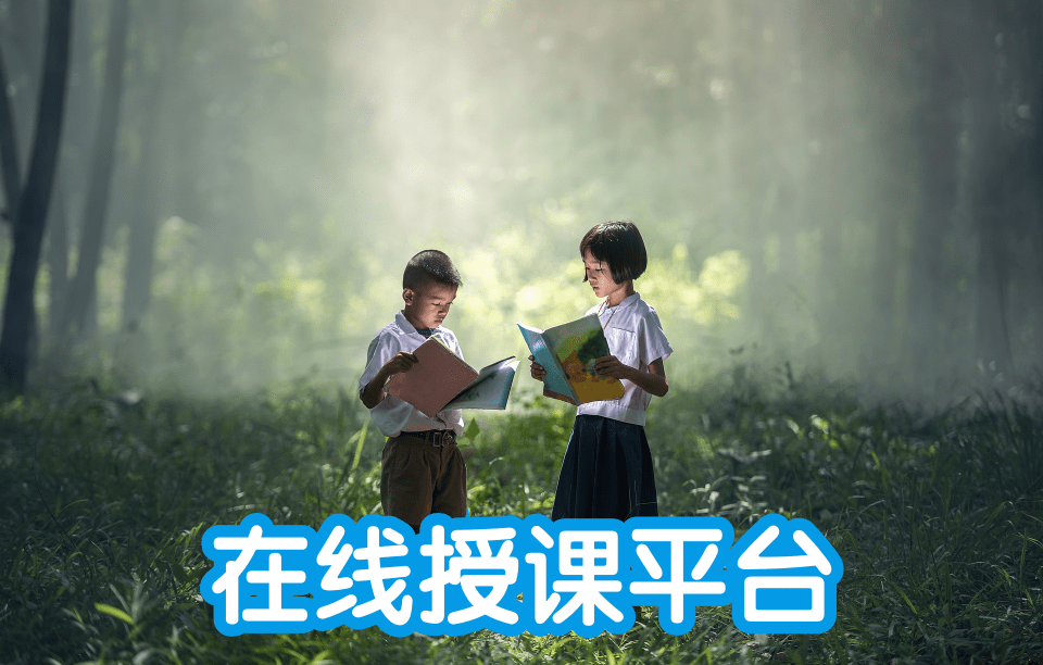 在線授課平臺 在線授課平臺運營商哪個好