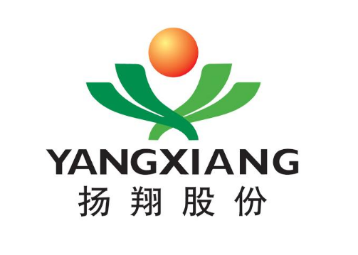 廣西揚翔集團公司