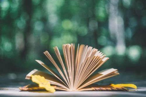 企業(yè)大學有哪些應用