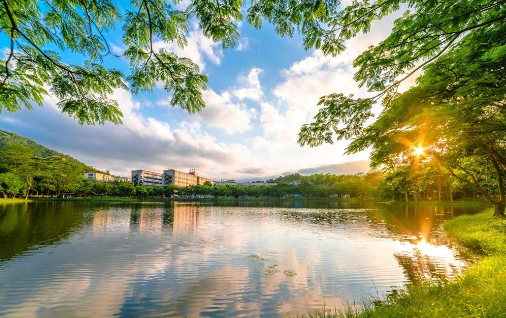 線上培訓(xùn)app的功能有哪些